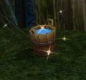 Item Seau d'arrosage.jpg