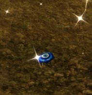 Item Si vous ramassez ceci, vous risquez une malédiction..jpg