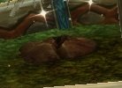 Item Source putride.jpg