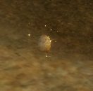 Item Spore champignon-lanterne (plante).jpg