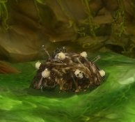 Item Tas d'ordures.jpg