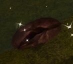 Item Terre fertile.jpg