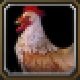 Item Vautour venteux mort.jpg