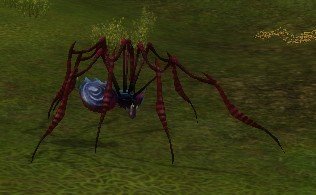 Mob Araignée à cornes.jpg