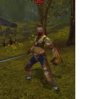 Fichier:Mob Bandit.jpg