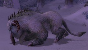 Mob Berhu sauvage.jpg