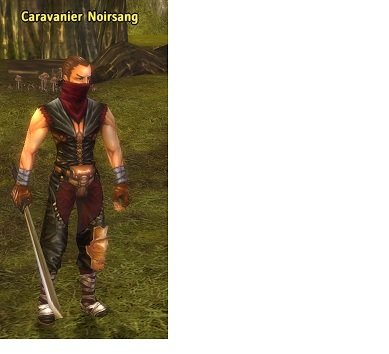 Fichier:Mob Caravanier Noirsang.jpg