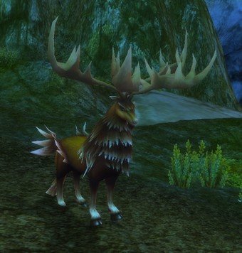 Mob Cerf des forêts.jpg