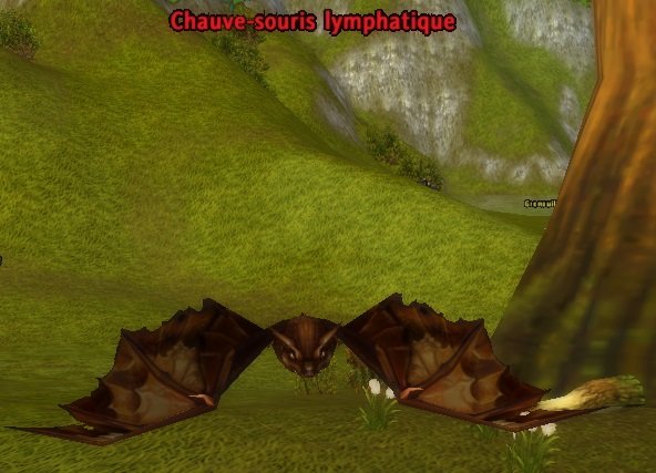 Mob Chauve-souris lymphatique.jpg