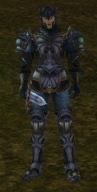 Mob Chevalier déchu.jpg