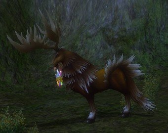 Mob Chevreuil confus.jpg