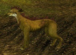 Mob Chupura pourrissant.jpg