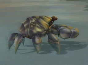 Mob Crabe caillou de Bouchepoisson.jpg