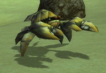 Mob Crabe des sables de la dent de lait.jpg