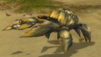 Mob Crabe moucheté.jpg