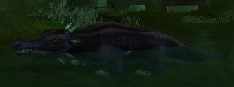 Mob Crocodile du marais noir.jpg