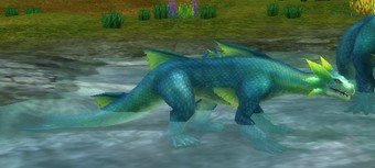 Mob Drake femelle sauvageau.jpg