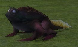 Mob Grenouille velue d'Aslan.jpg