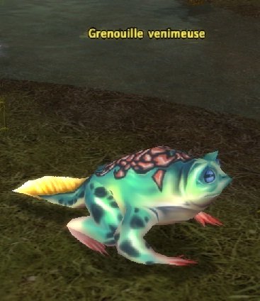 Mob Grenouille venimeuse.jpg