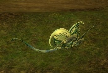 Mob Hesperiidae.jpg