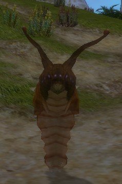 Mob Larve de scorpion des sables femelle.jpg