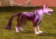 Mob Loup rouge de Salvond.jpg