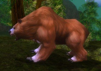 Mob Ours brun de Kaluga.jpg