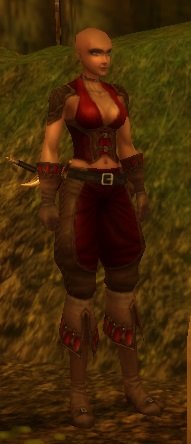 Mob Pirate rusé.jpg