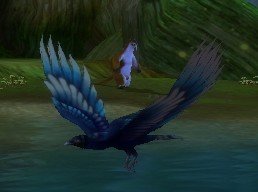 Mob Pygargue bleu ciel.jpg