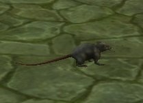 Mob Rat.jpg