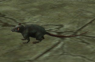 Mob Rat d'égout.jpg