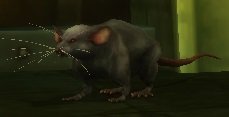 Mob Rat géant des égouts.jpg