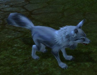 Mob Renard perdu.jpg