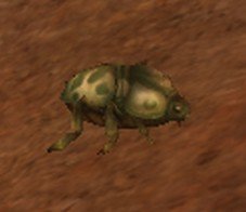 Mob Scarabée volcanique.jpg