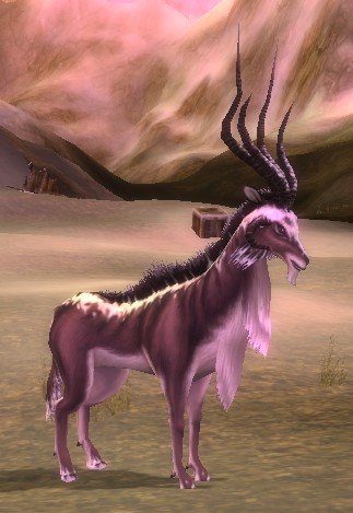 Mob Springbok de Salvond.jpg