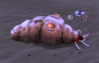 Mob Ver à bois des plages.jpg