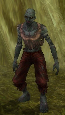 Mob Villageois transformé.jpg