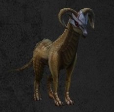 Pet Familier nouveau-né Bélier.jpg