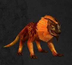Pet Familier nouveau-né Lion.jpg