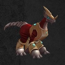 Pet Jeune draco rhéa.jpg