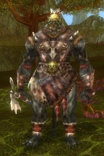 Fichier:Pnj Guerrier solitaire d'Angren.jpg