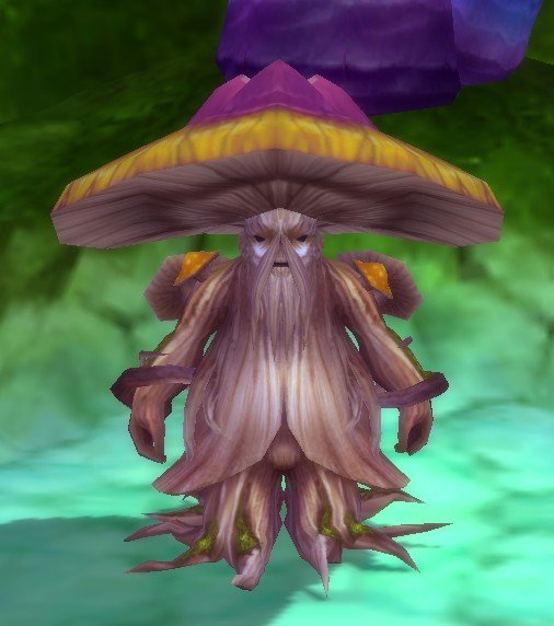 Fichier:Pnj Roi Fungus.jpg