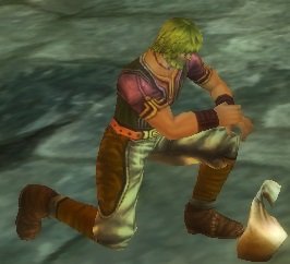 Fichier:Pnj Vagabond morne.jpg