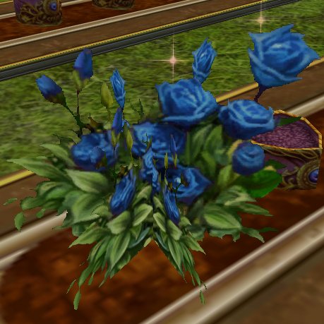 Fichier:Rose bleue éclose.jpg