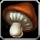 Title Tueur de Fungus.jpg