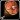 Buff Cuisse d'autruche.jpg