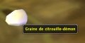 Vignette pour la version du 10 décembre 2010 à 22:14