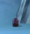 Vignette pour la version du 19 mars 2018 à 14:09