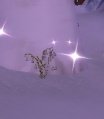 Vignette pour la version du 17 mars 2018 à 22:09