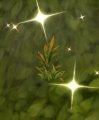 Vignette pour la version du 29 avril 2018 à 21:28
